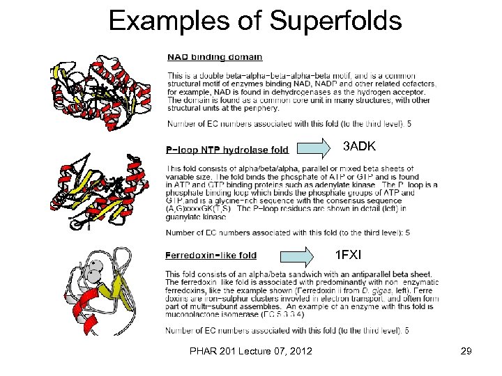 Examples of Superfolds 3 ADK 1 FXI PHAR 201 Lecture 07, 2012 29 