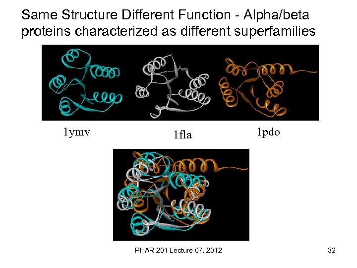 Same Structure Different Function - Alpha/beta proteins characterized as different superfamilies 1 ymv 1