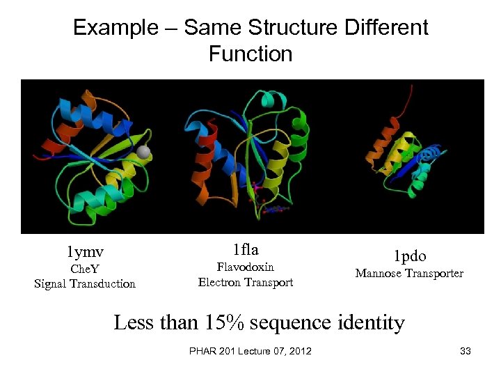 Example – Same Structure Different Function 1 fla 1 ymv Che. Y Signal Transduction