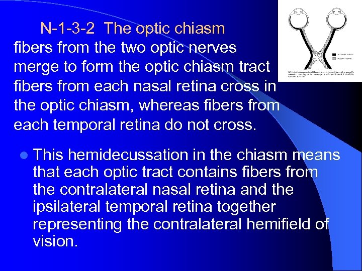 N-1 -3 -2 The optic chiasm fibers from the two optic nerves merge to