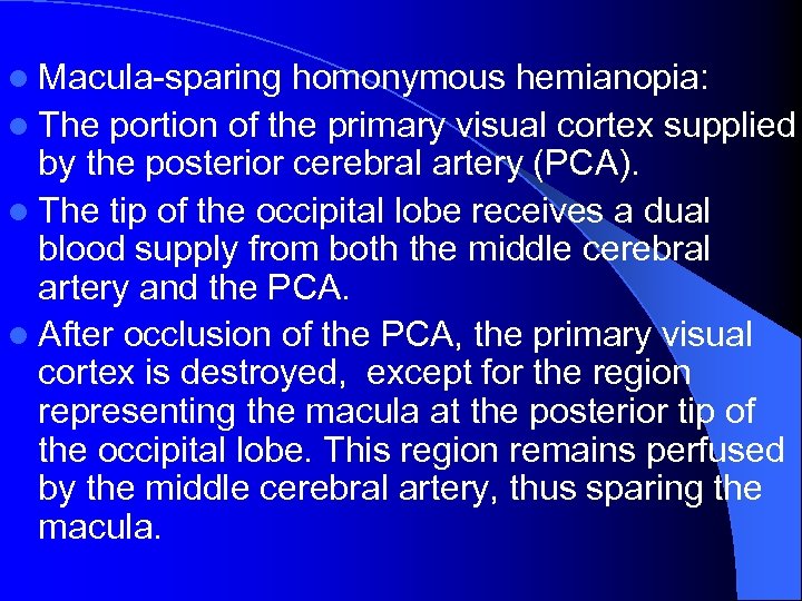 l Macula-sparing homonymous hemianopia: l The portion of the primary visual cortex supplied by