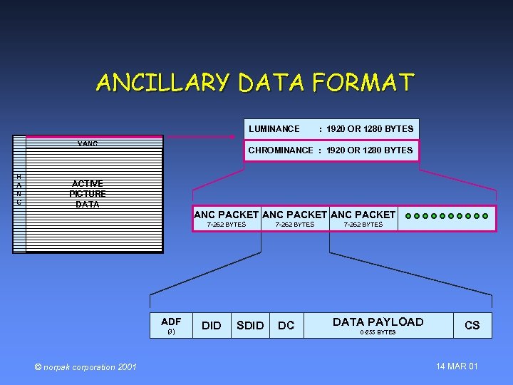 ANCILLARY DATA FORMAT LUMINANCE VANC H A N C CHROMINANCE : 1920 OR 1280