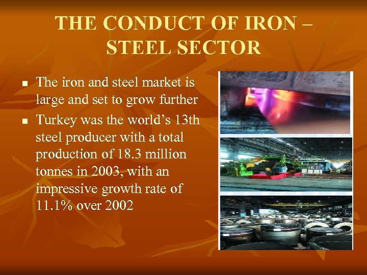 THE CONDUCT OF IRON – STEEL SECTOR n n The iron and steel market