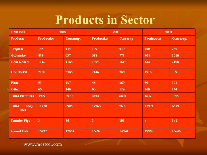  Products in Sector 1000 tons 2002 2003 2004 Products Production Consump. Tinplate 146