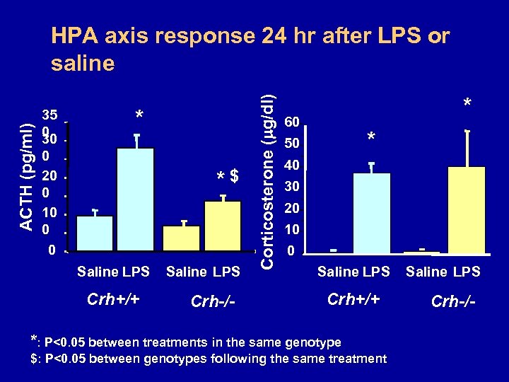 35 0 30 * 0 20 0 10 0 0 *$ Saline LPS Crh+/+