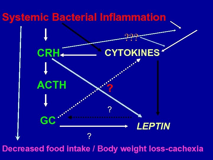 Systemic Bacterial Inflammation ? ? ? CRH CYTOKINES ACTH ? ? GC LEPTIN ?