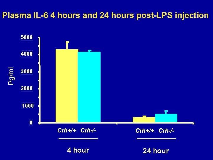 Plasma IL-6 4 hours and 24 hours post-LPS injection 5000 Pg/ml 4000 3000 2000