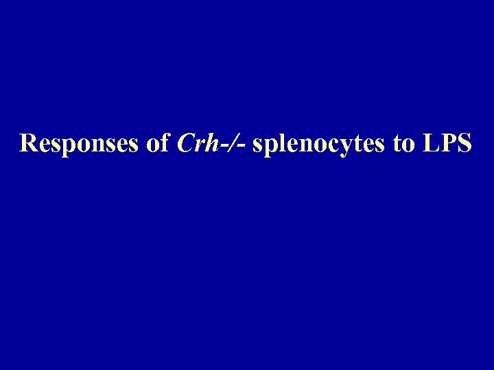 Responses of Crh-/- splenocytes to LPS 