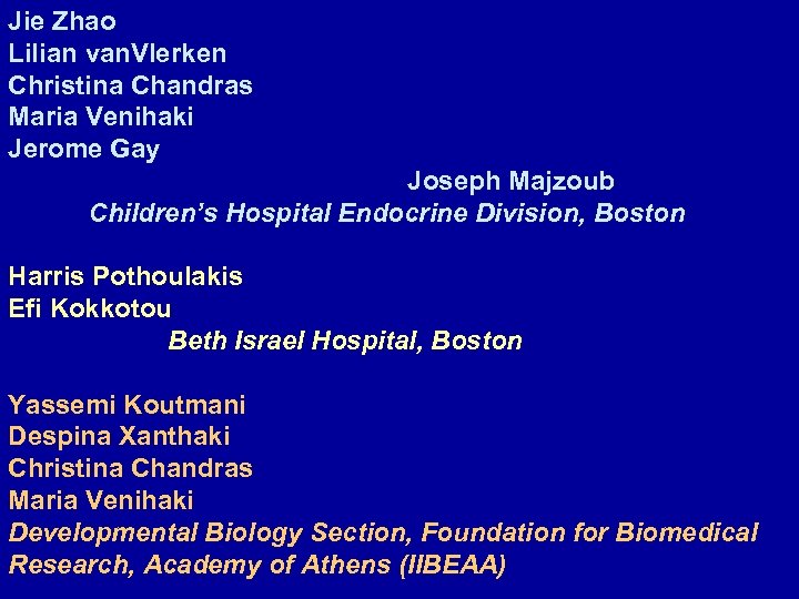 Jie Zhao Lilian van. Vlerken Christina Chandras Maria Venihaki Jerome Gay Joseph Majzoub Children’s