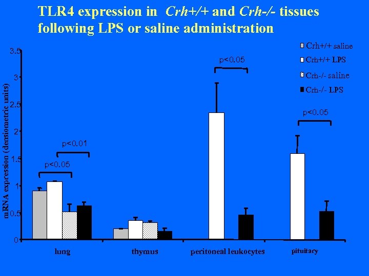 TLR 4 expression in Crh+/+ and Crh-/- tissues following LPS or saline administration Crh+/+