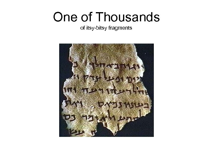 One of Thousands of itsy-bitsy fragments 