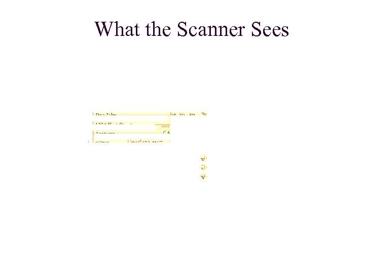 What the Scanner Sees 