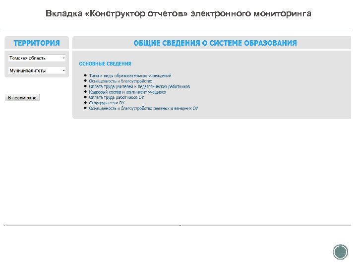 Вкладка «Конструктор отчетов» электронного мониторинга 