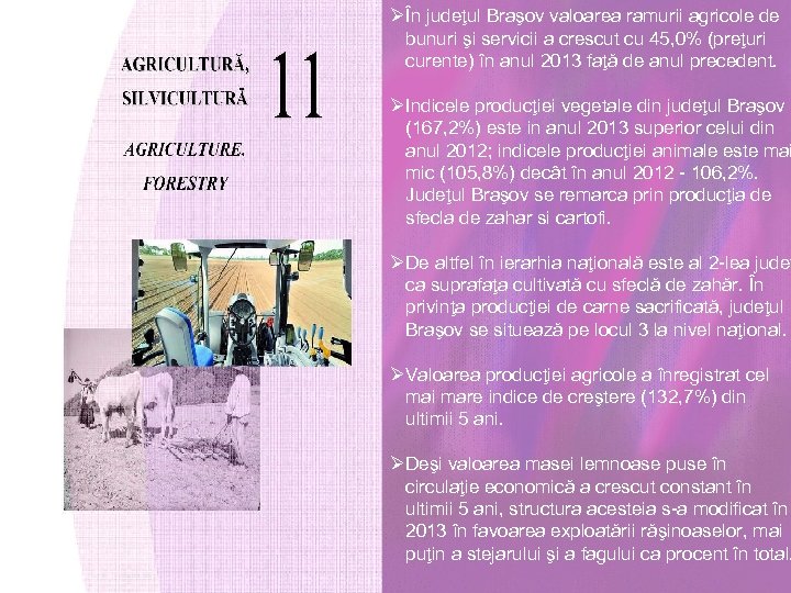 ØÎn judeţul Braşov valoarea ramurii agricole de bunuri şi servicii a crescut cu 45,