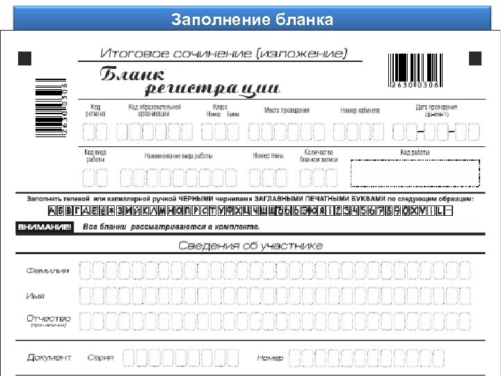 Заполнение бланка Информационное обеспечение 