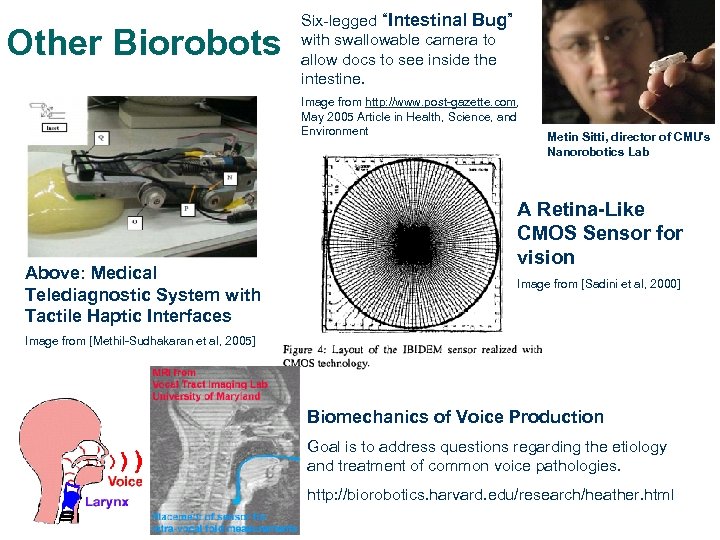 Other Biorobots Six-legged “Intestinal Bug” with swallowable camera to allow docs to see inside