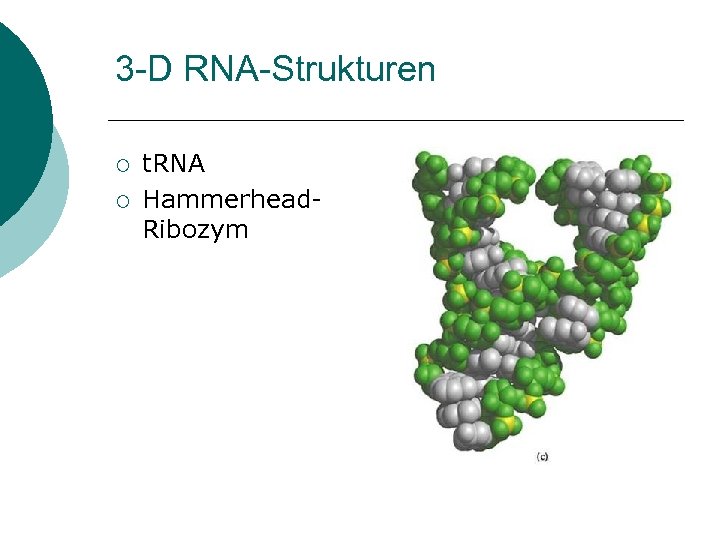 3 -D RNA-Strukturen ¡ ¡ t. RNA Hammerhead. Ribozym 