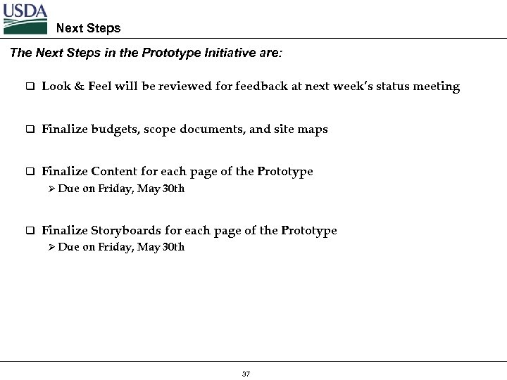 Next Steps The Next Steps in the Prototype Initiative are: q Look & Feel