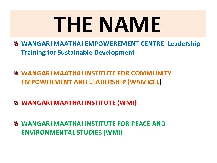 THE NAME WANGARI MAATHAI EMPOWEREMENT CENTRE: Leadership Training for Sustainable Development WANGARI MAATHAI INSTITUTE