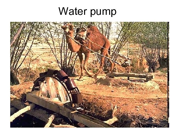 Water pump 