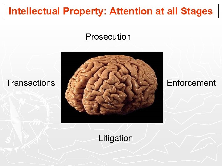 Intellectual Property: Attention at all Stages Prosecution Transactions Enforcement Litigation 