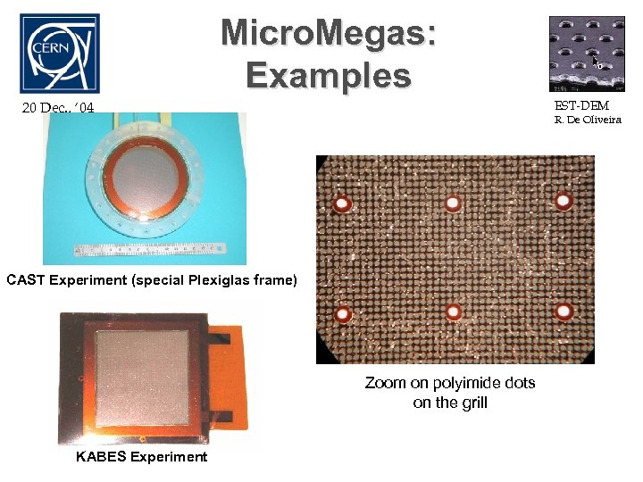 Micro. Megas: Examples EST-DEM 20 Dec. , ‘ 04 R. De Oliveira CAST Experiment