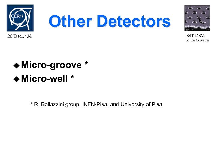 Other Detectors EST-DEM 20 Dec. , ‘ 04 R. De Oliveira u Micro-groove u