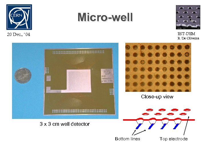 Micro-well EST-DEM 20 Dec. , ‘ 04 R. De Oliveira Close-up view 3 x