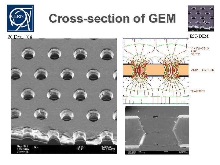 Cross-section of GEM 20 Dec. , ‘ 04 EST-DEM R. De Oliveira 