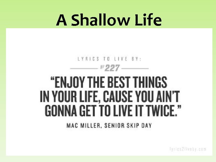 A Shallow Life 