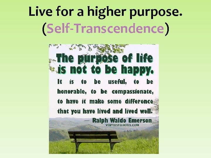 Live for a higher purpose. (Self-Transcendence) 