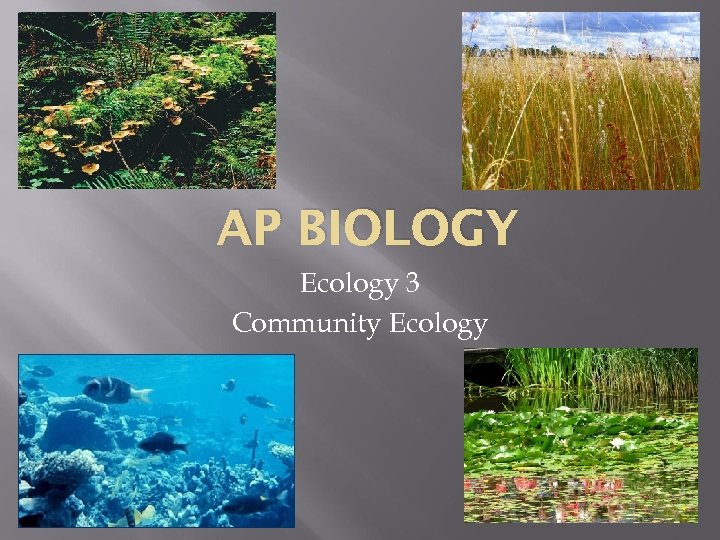 AP BIOLOGY Ecology 3 Community Ecology 