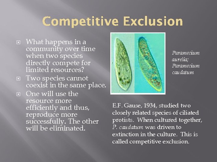 Competitive Exclusion What happens in a community over time when two species directly compete