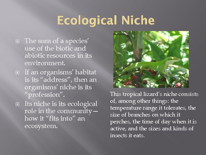 Ecological Niche The sum of a species’ use of the biotic and abiotic resources