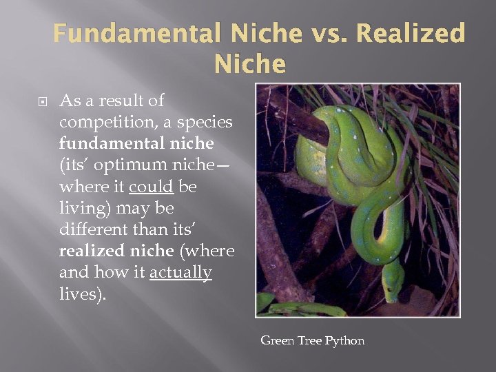 Fundamental Niche vs. Realized Niche As a result of competition, a species fundamental niche