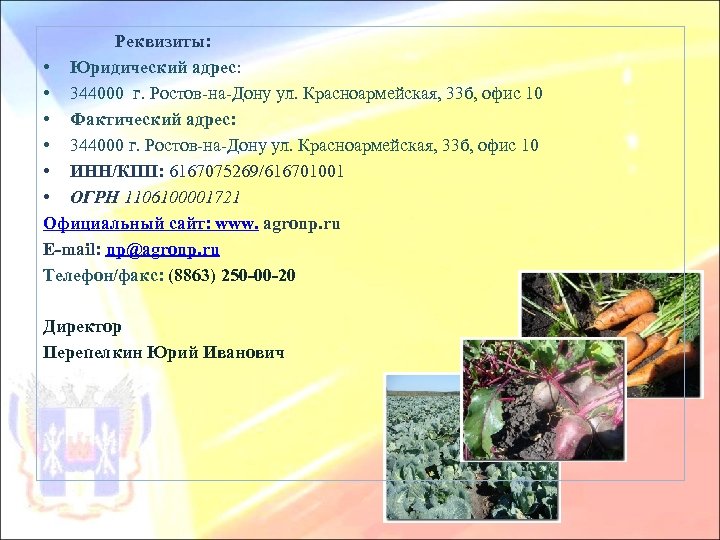 Реквизиты: • Юридический адрес: • 344000 г. Ростов-на-Дону ул. Красноармейская, 33 б, офис 10