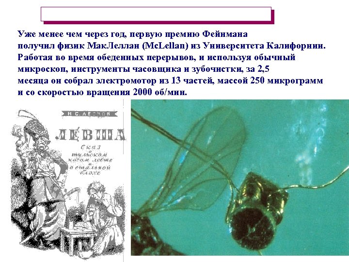 Уже менее чем через год, первую премию Фейнмана получил физик Мак. Леллан (Mc. Lellan)