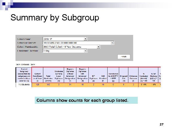 Summary by Subgroup Columns show counts for each group listed. 27 