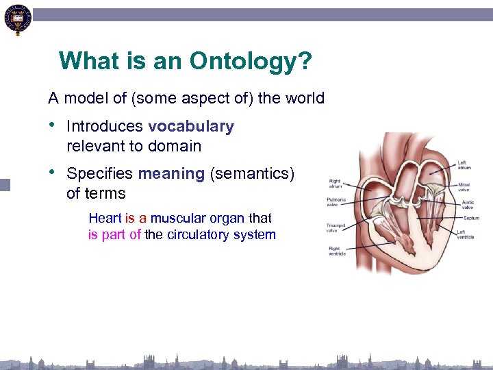 What is an Ontology? A model of (some aspect of) the world • Introduces