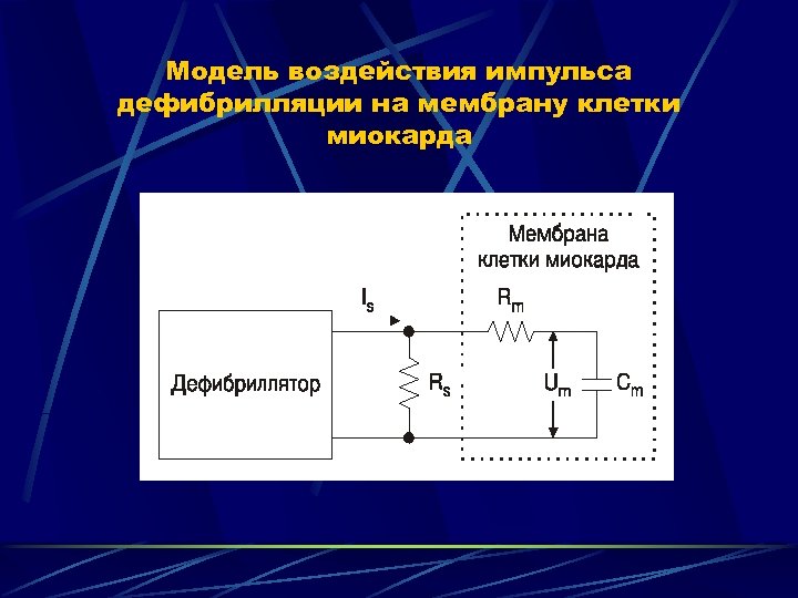 Модель воздействия импульса дефибрилляции на мембрану клетки миокарда 