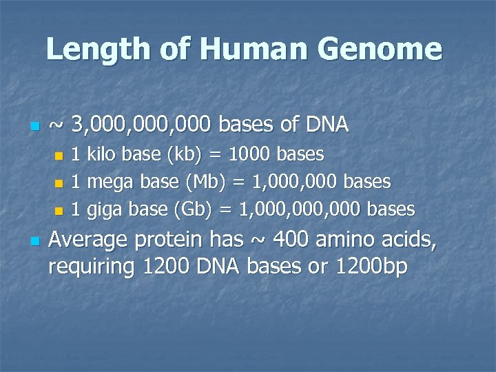 Length of Human Genome n ~ 3, 000, 000 bases of DNA 1 kilo