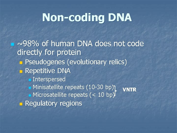 Non-coding DNA n ~98% of human DNA does not code directly for protein Pseudogenes