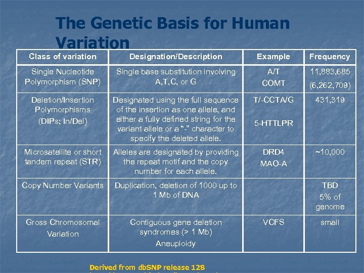 The Genetic Basis for Human Variation Class of variation Designation/Description Example Frequency Single Nucleotide