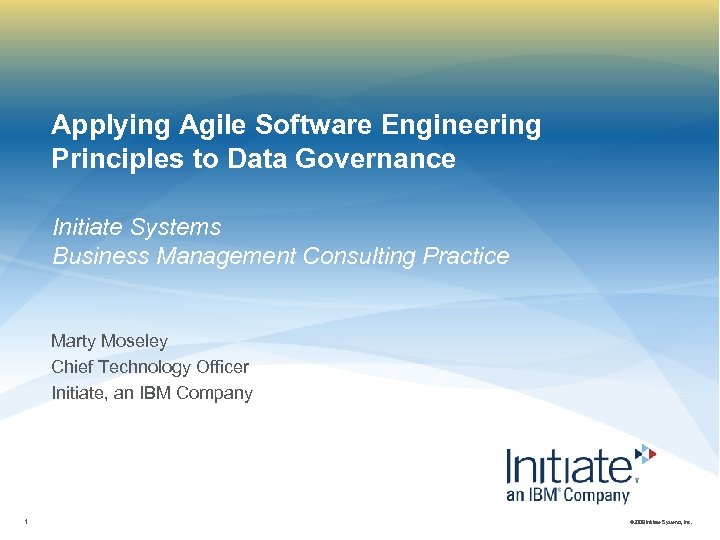 Applying Agile Software Engineering Principles to Data Governance Initiate Systems Business Management Consulting Practice