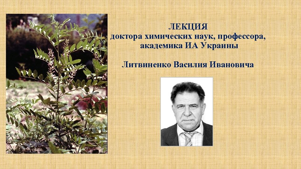 Доктор химических наук профессор. Рощин Виктор Иванович профессор доктор химических наук. Тульчий Василий Иванович профессор. Доктор химико-технических наук Синаев Константин Иванович.