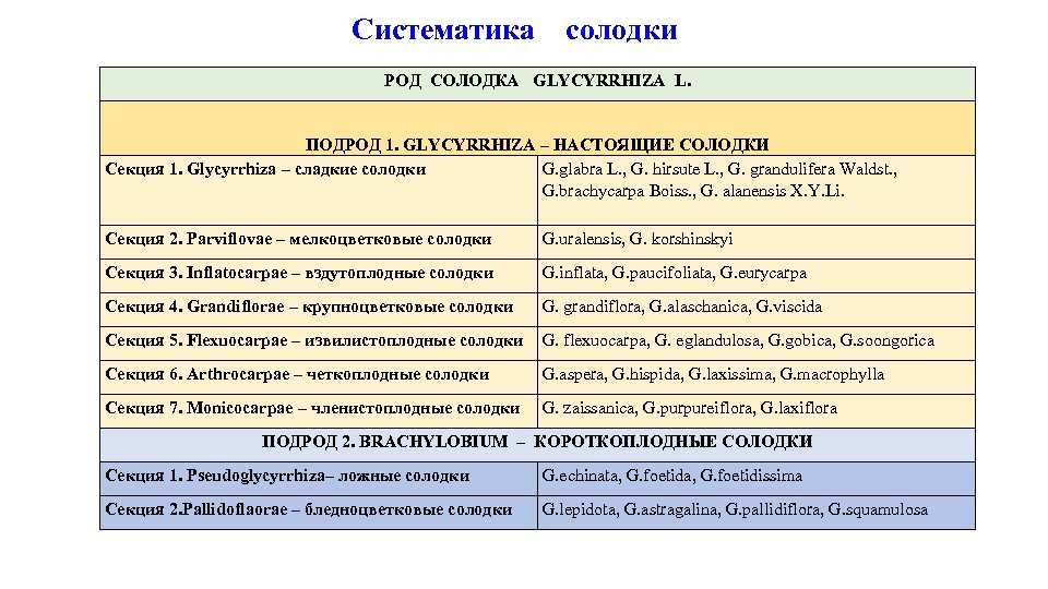 Систематика солодки РОД СОЛОДКА GLYCYRRHIZA L. ПОДРОД 1. GLYCYRRHIZA – НАСТОЯЩИЕ СОЛОДКИ Секция 1.