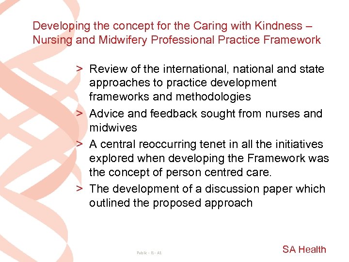 Developing the concept for the Caring with Kindness – Nursing and Midwifery Professional Practice