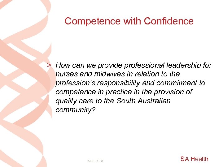 Competence with Confidence > How can we provide professional leadership for nurses and midwives