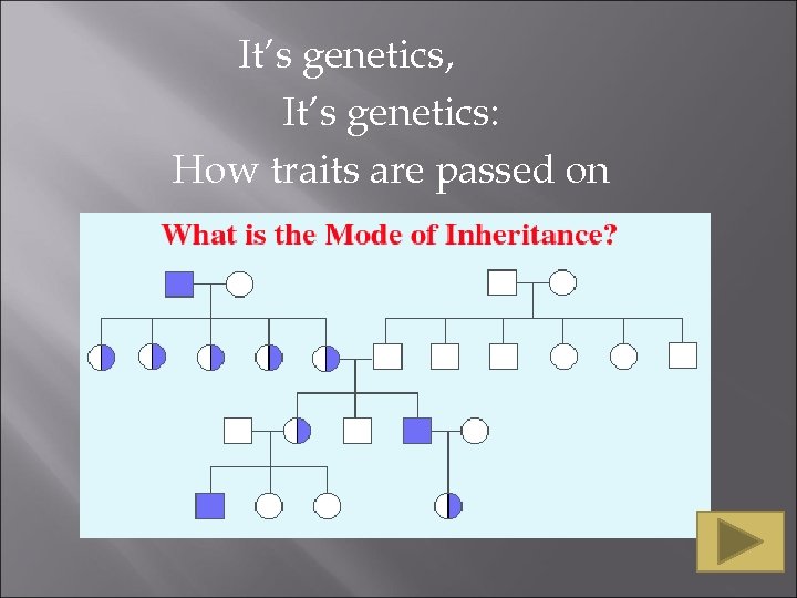 It’s genetics, It’s genetics: How traits are passed on 