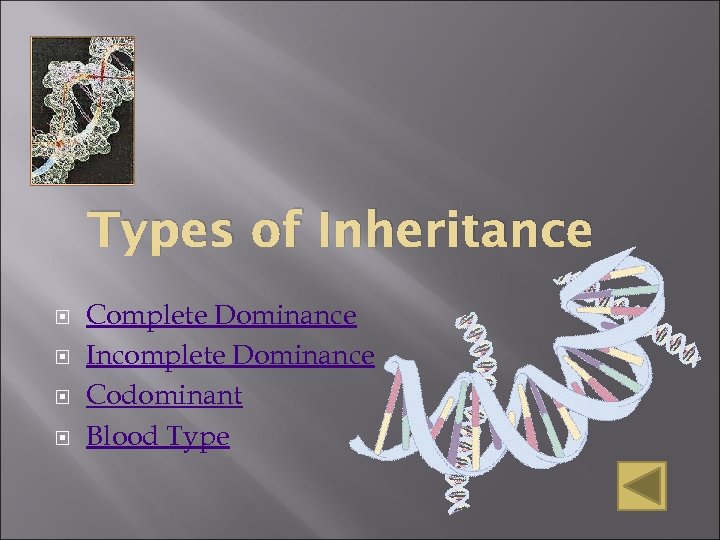 Types of Inheritance Complete Dominance Incomplete Dominance Codominant Blood Type 